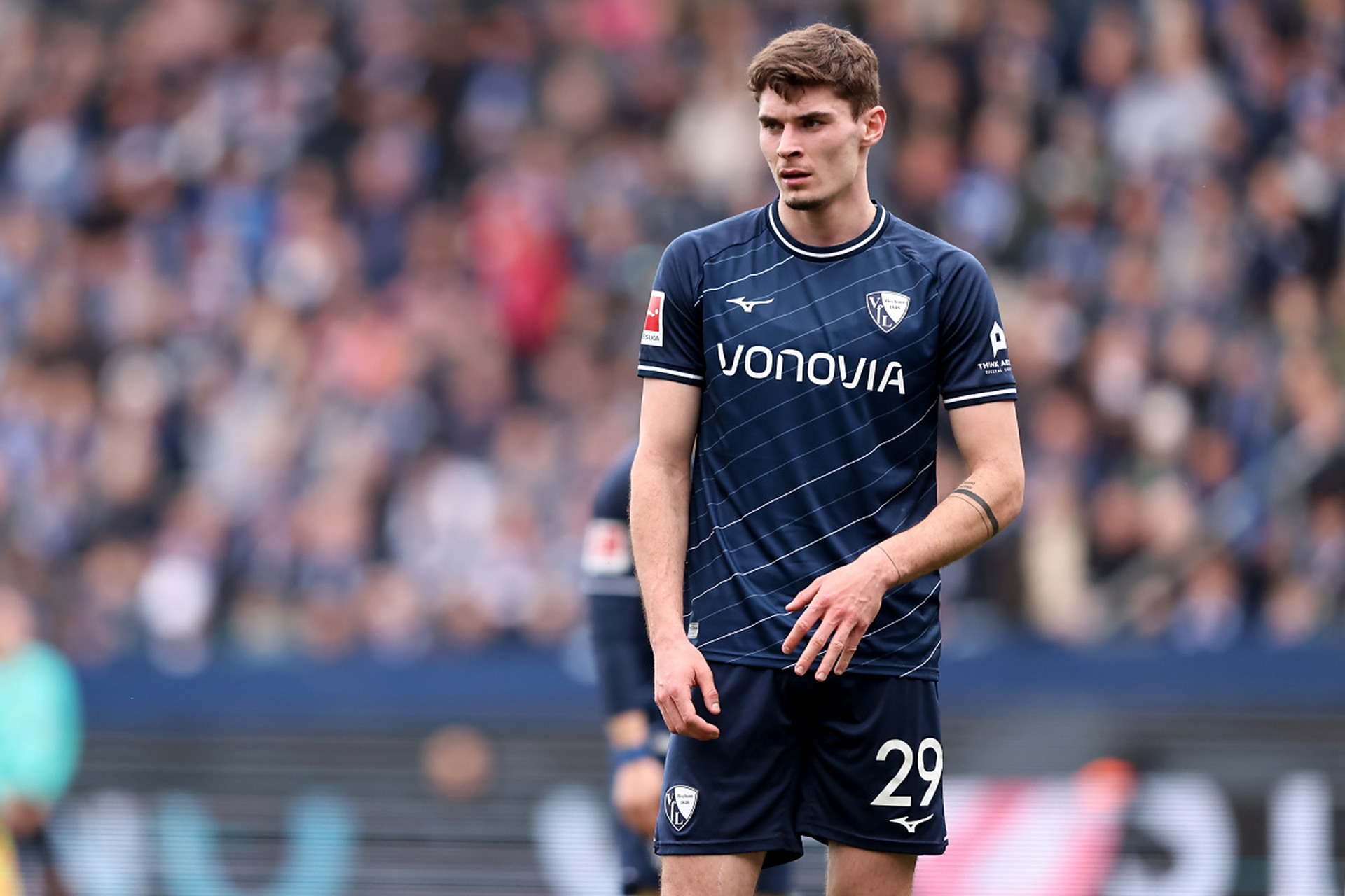 不仅仅是名 不仅仅是名